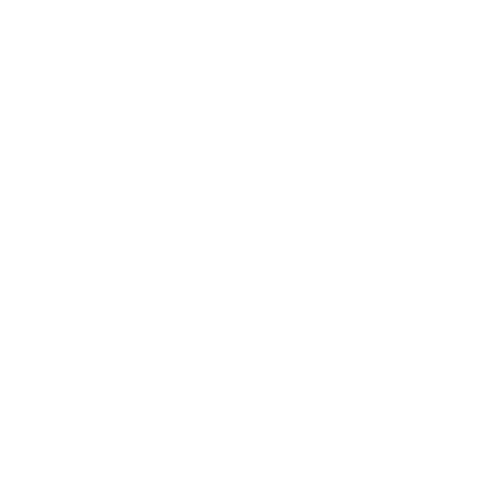 The Boston Globe