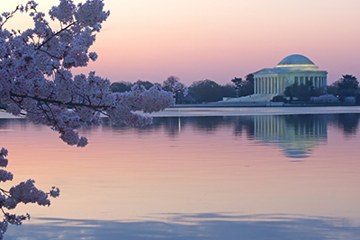 photo of the title basin in Washington D.C.
